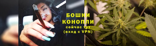 дживик Волоколамск