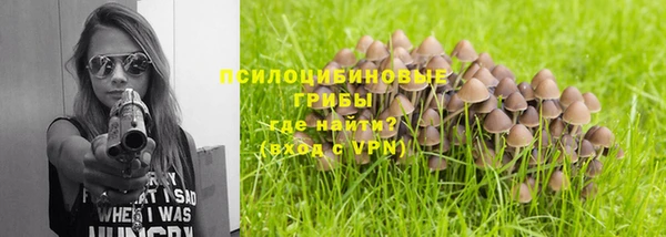 spice Вязьма