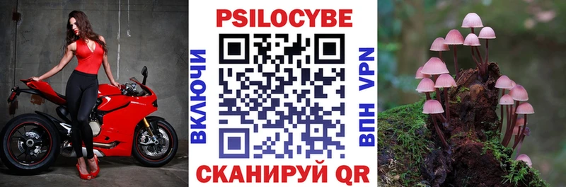 Галлюциногенные грибы MAGIC MUSHROOMS  Купить закладки  Заволжск 